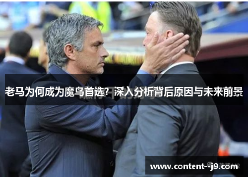 老马为何成为魔鸟首选？深入分析背后原因与未来前景