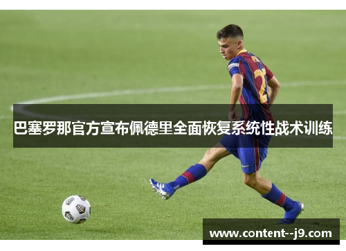 巴塞罗那官方宣布佩德里全面恢复系统性战术训练